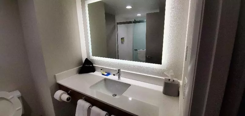 身障者適用キングサイズベッドルーム, Holiday Inn Express Hotel & Suites Kinston, An Ihg