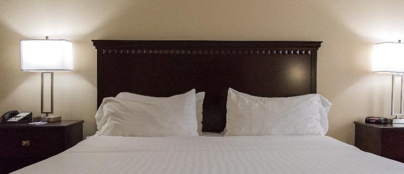 غرفة قياسية, Holiday Inn Express Hotel & Suites Kinston, An Ihg