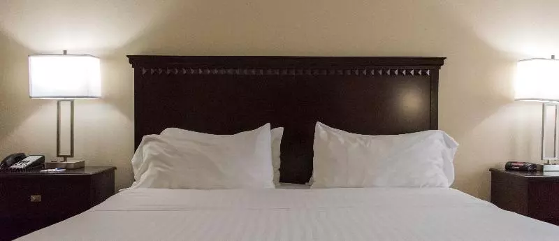 スタンダードルーム, Holiday Inn Express Hotel & Suites Kinston, An Ihg