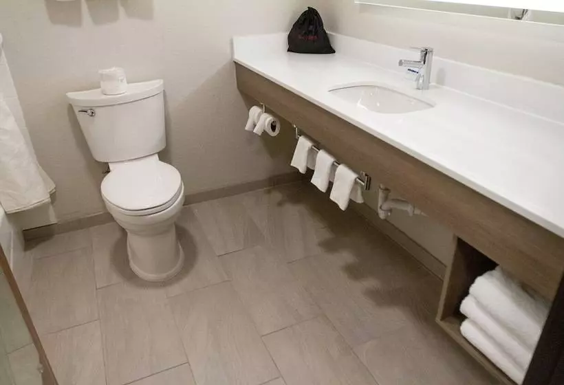 Standard-huone, Holiday Inn Express Oneill By Ihg