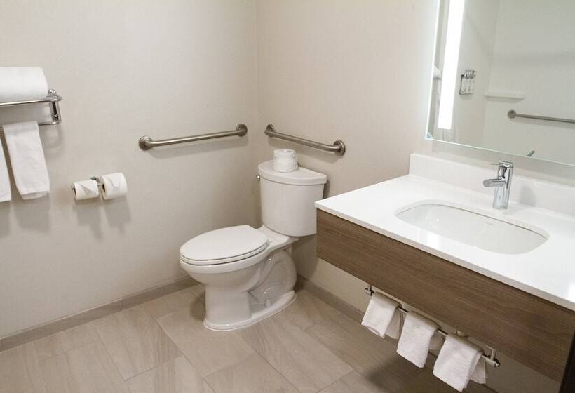 장애인을 위한 스위트, Holiday Inn Express Oneill By Ihg