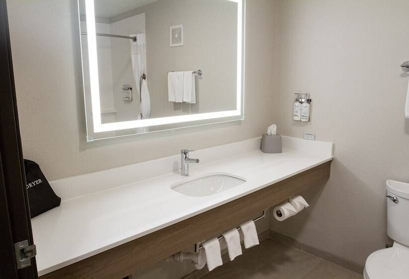 جناح لذوى الاحتياجات الخاصة, Holiday Inn Express Oneill By Ihg