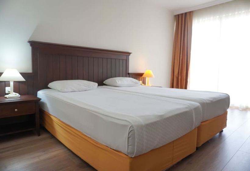 标准间, Side Palm D Or