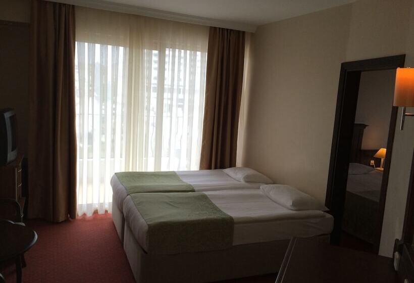 家庭间, Side Palm D Or