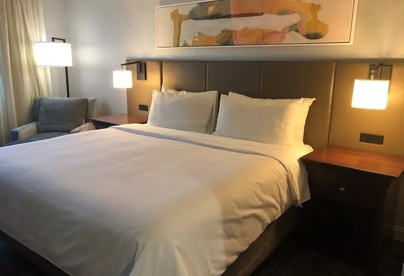 スタンダードルーム, Crowne Plaza Chicago Northbrook, An Ihg