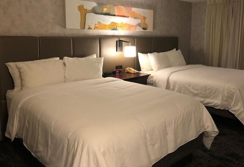 اتاق استاندارد, Crowne Plaza Chicago Northbrook, An Ihg