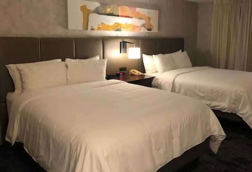 スタンダードルーム, Crowne Plaza Chicago Northbrook, An Ihg