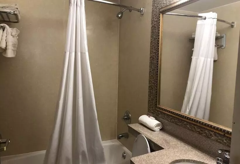Standard-huone 2 Parivuodetta, Days Inn By Wyndham Brooklyn
