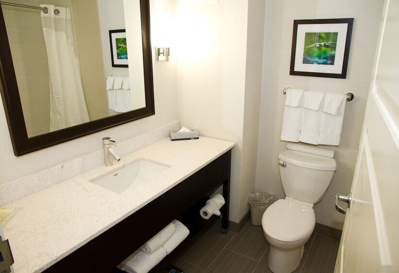 スタンダードルーム, Holiday Inn Hotel & Suites Red Deer, An Ihg