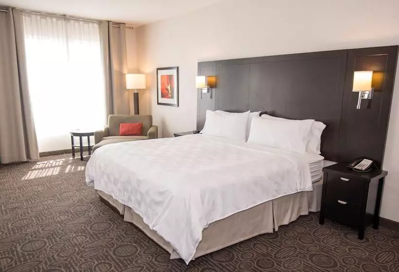 スタンダードルーム, Holiday Inn Hotel & Suites Red Deer, An Ihg