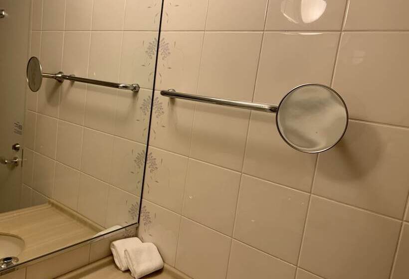 スタンダードルーム, Rihga Royal Hotel Niihama