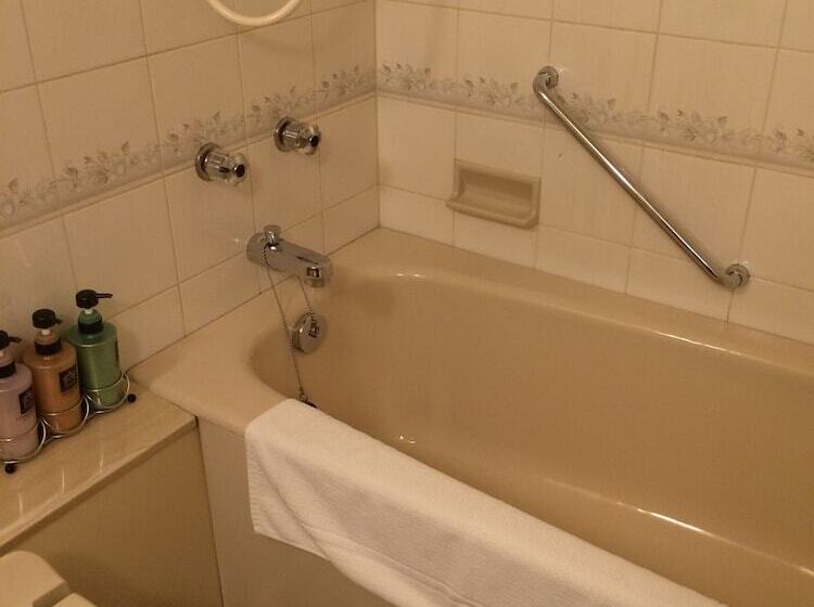 اتاق سوپریور یک تخته, Rihga Royal Hotel Niihama