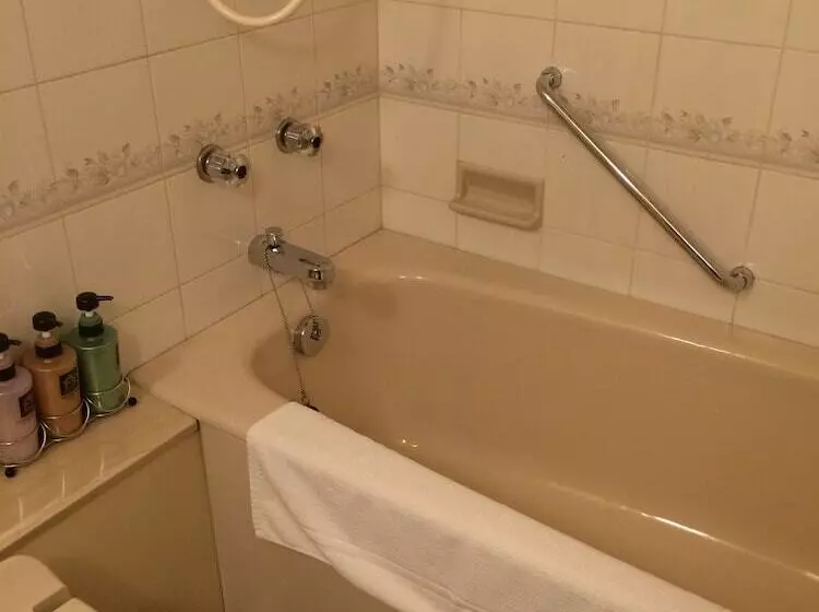スーペリアシングルルーム, Rihga Royal Hotel Niihama
