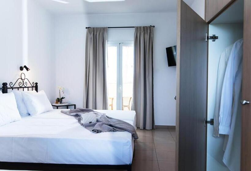 スーペリアスタジオ, Real Palace