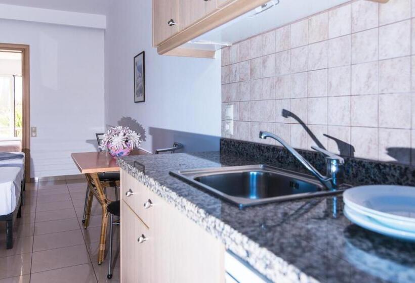 1ベッドルームのスーペリアアパートメント, Real Palace