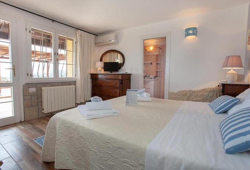 اتاق استاندارد با تخت بزرگ, Domus Francy