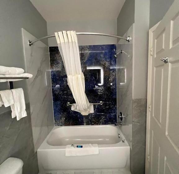 سوئیت با تخت بزرگ, Baymont By Wyndham Texas City