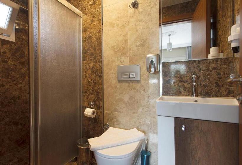 חדר סטנדרט לשלושה, Green Peace