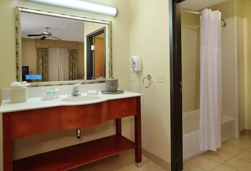 スタンダードスタジオ, Hampton Inn & Suites Buffalo