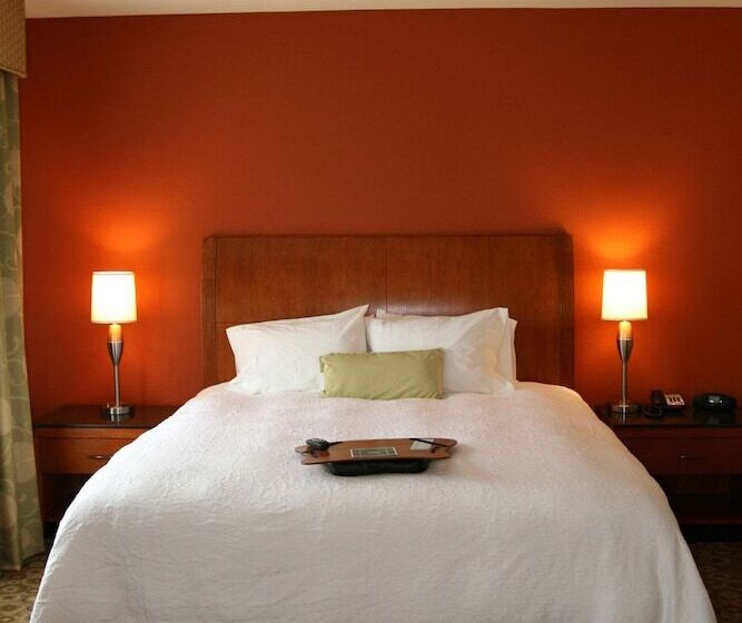 חדר סטודיו סטנדרד, Hampton Inn & Suites Buffalo