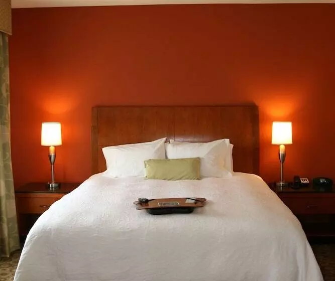 スタンダードスタジオ, Hampton Inn & Suites Buffalo
