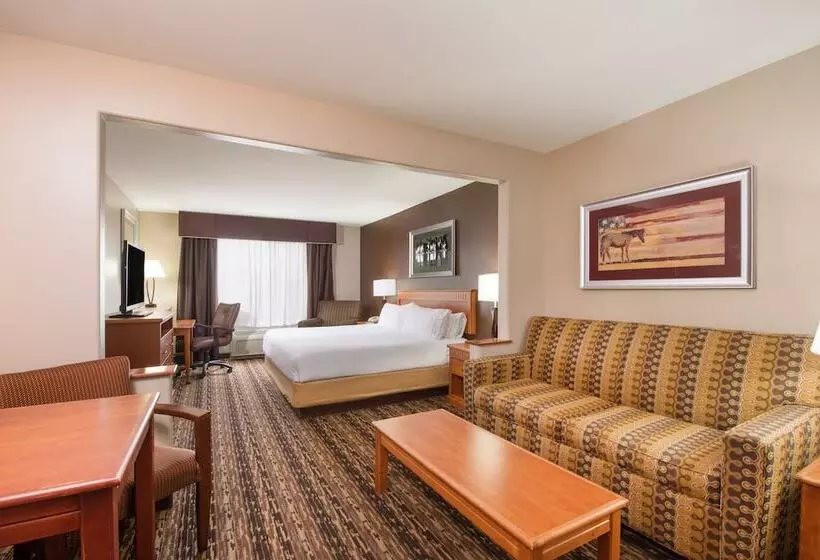 スイート, Holiday Inn Express & Suites Douglas, An Ihg