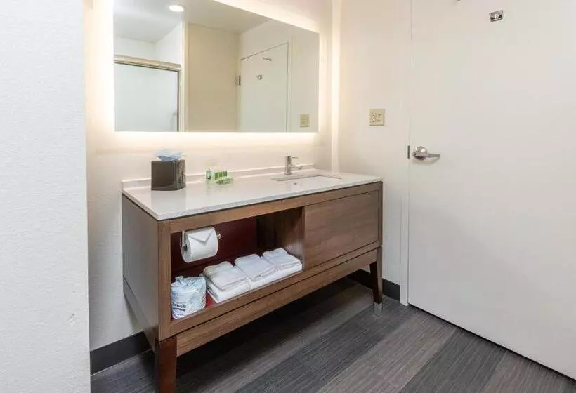 プレミアムルーム, Holiday Inn Hotel & Suites Memphis Wolfchase Galleria, An Ihg