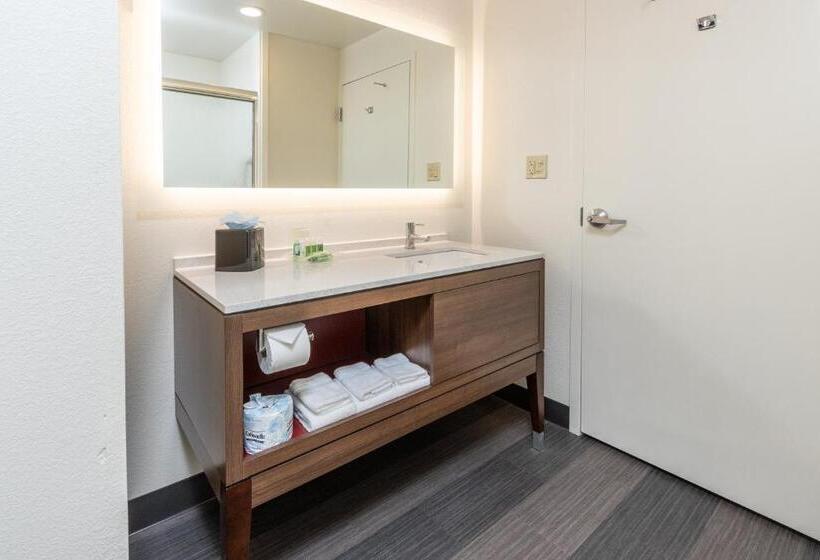 Camera Standard Letto King, Holiday Inn Hotel & Suites Memphis Wolfchase Galleria, An Ihg