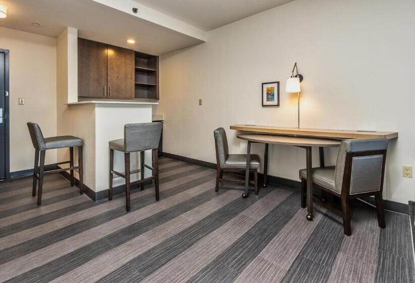 Suite Letto King, Holiday Inn Hotel & Suites Memphis Wolfchase Galleria, An Ihg