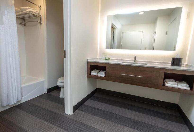 Люкс Кровать Кинг, Holiday Inn Hotel & Suites Memphis Wolfchase Galleria, An Ihg