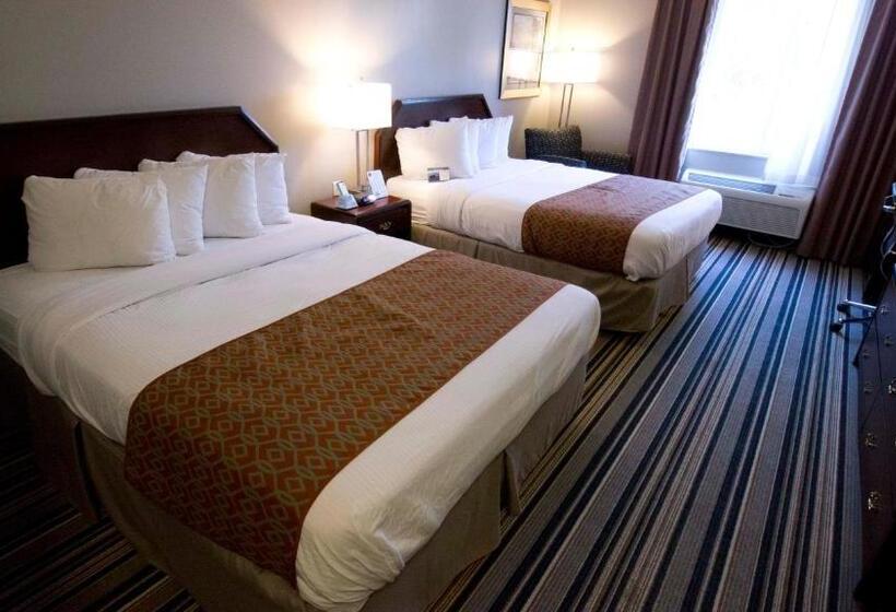 스탠다드 룸, Comfort Inn & Suites