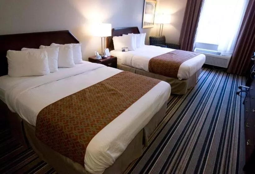 スタンダードルーム, Comfort Inn & Suites