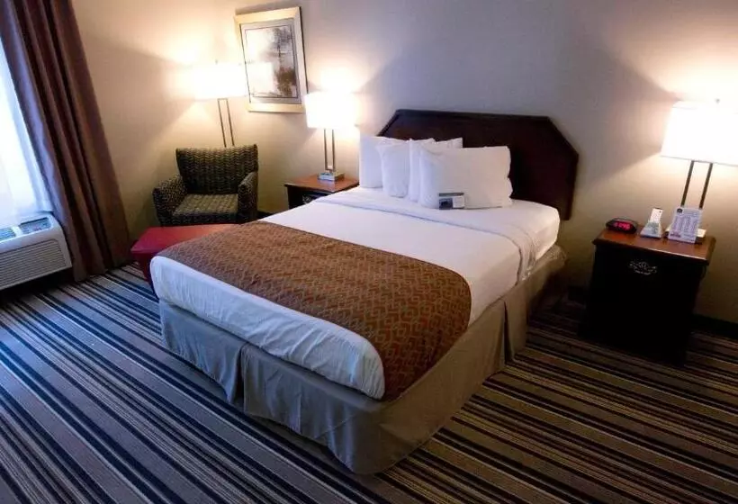 身障者適用クイーンサイズベッドルーム, Comfort Inn & Suites