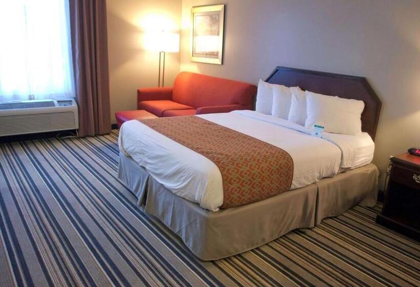 장애인을 위한 퀸사이즈 스탠다드 룸, Comfort Inn & Suites