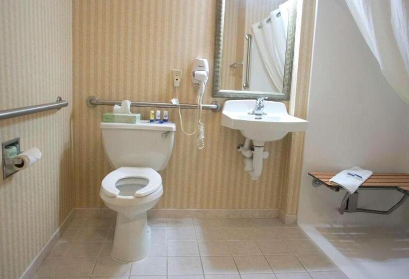 Номер Стандарт Кровать Квин Адаптированный для Инвалидов, Comfort Inn & Suites