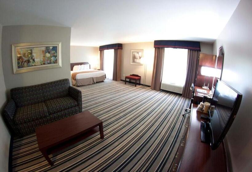 Family Suite, Comfort Inn & Suites