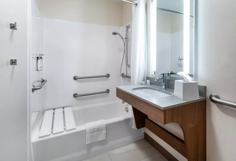 身障者適用スイートルーム, Candlewood Suites Grand Junction, An Ihg
