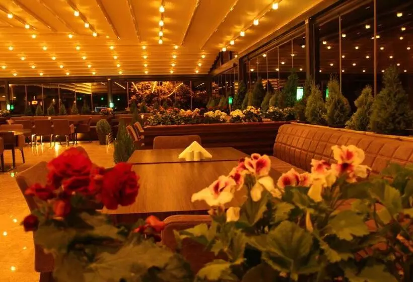 اتاق استاندارد, City One