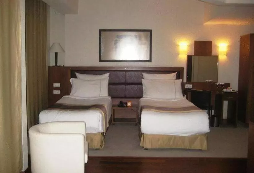 اتاق استاندارد, City One