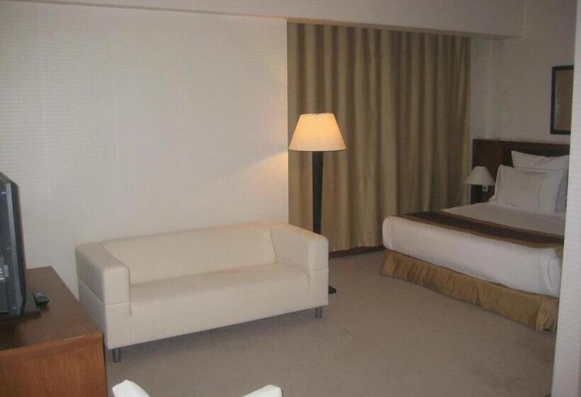 高级大房间, City One