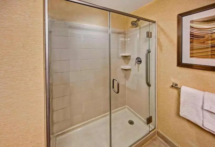 اتاق استاندارد با تخت بزرگ, Courtyard By Marriott Midland