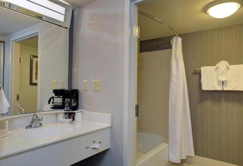 身障者適用スタンダードルーム, Courtyard Richmond Chester