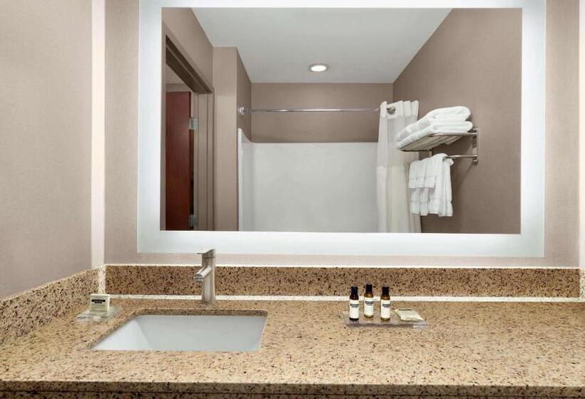 キングサイズベッドのデラックススイート, Hawthorn Suites By Wyndham Lancaster