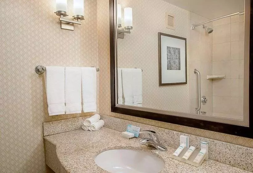 キングサイズベッドのスタンダードルーム, Hilton Garden Inn St. Louis Airport