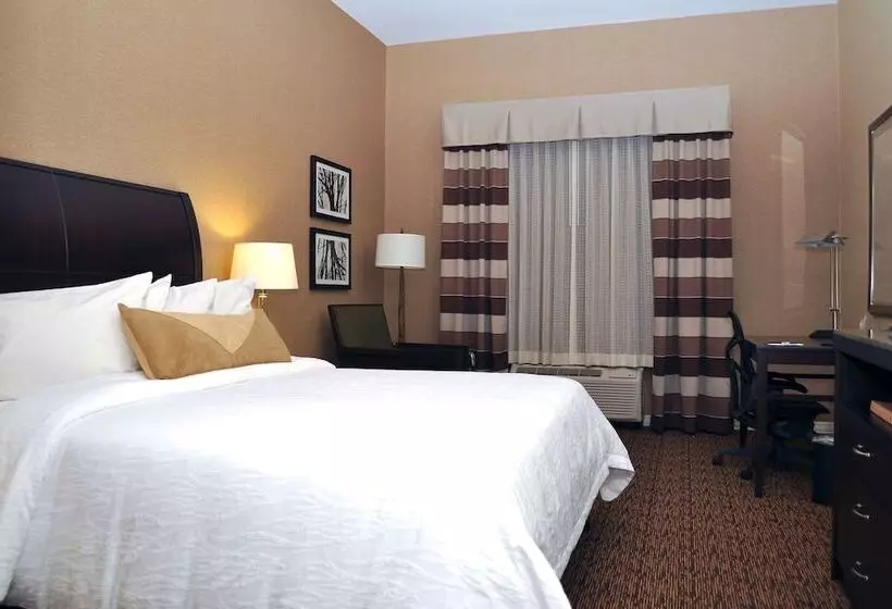 キングサイズベッドのスタンダードルーム, Hilton Garden Inn St. Louis Airport