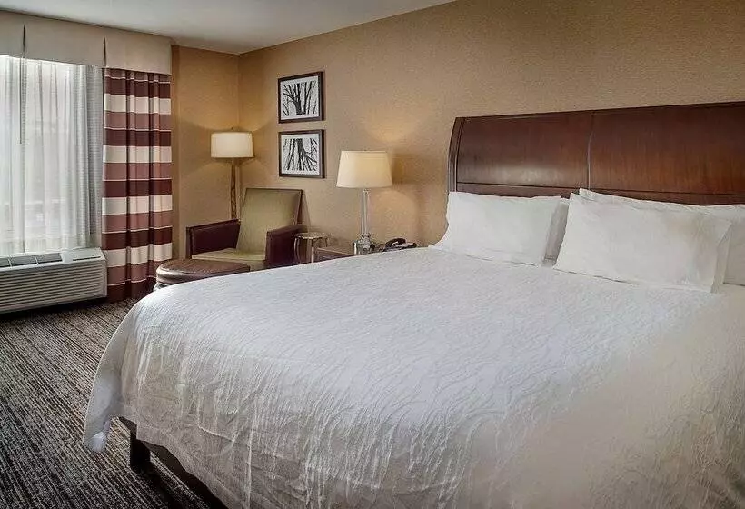 キングサイズベッドのスタンダードルーム, Hilton Garden Inn St. Louis Airport