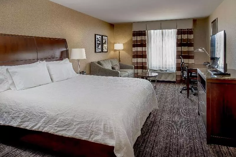 キングサイズベッドのデラックスルーム, Hilton Garden Inn St. Louis Airport