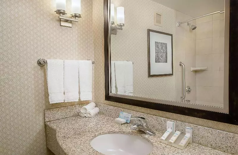 キングサイズベッドのデラックスルーム, Hilton Garden Inn St. Louis Airport