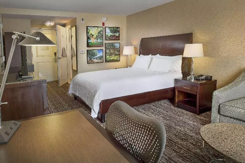 キングサイズベッドのデラックスルーム, Hilton Garden Inn St. Louis Airport