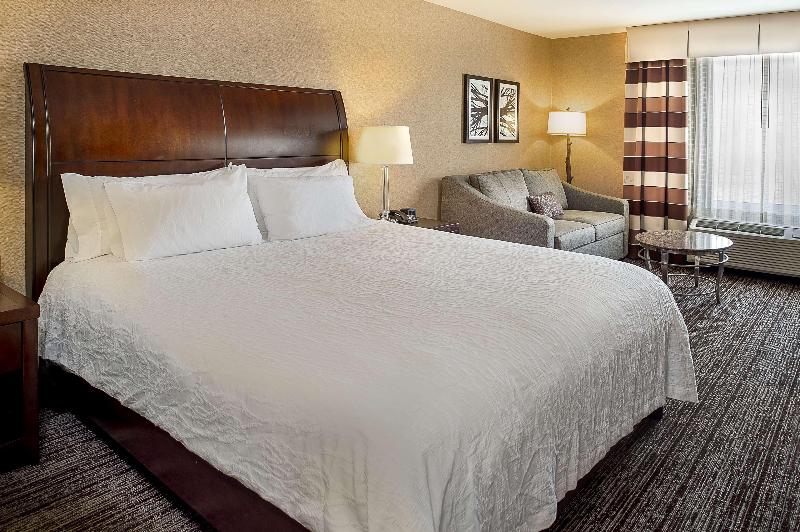 带大床的豪华间, Hilton Garden Inn St. Louis Airport